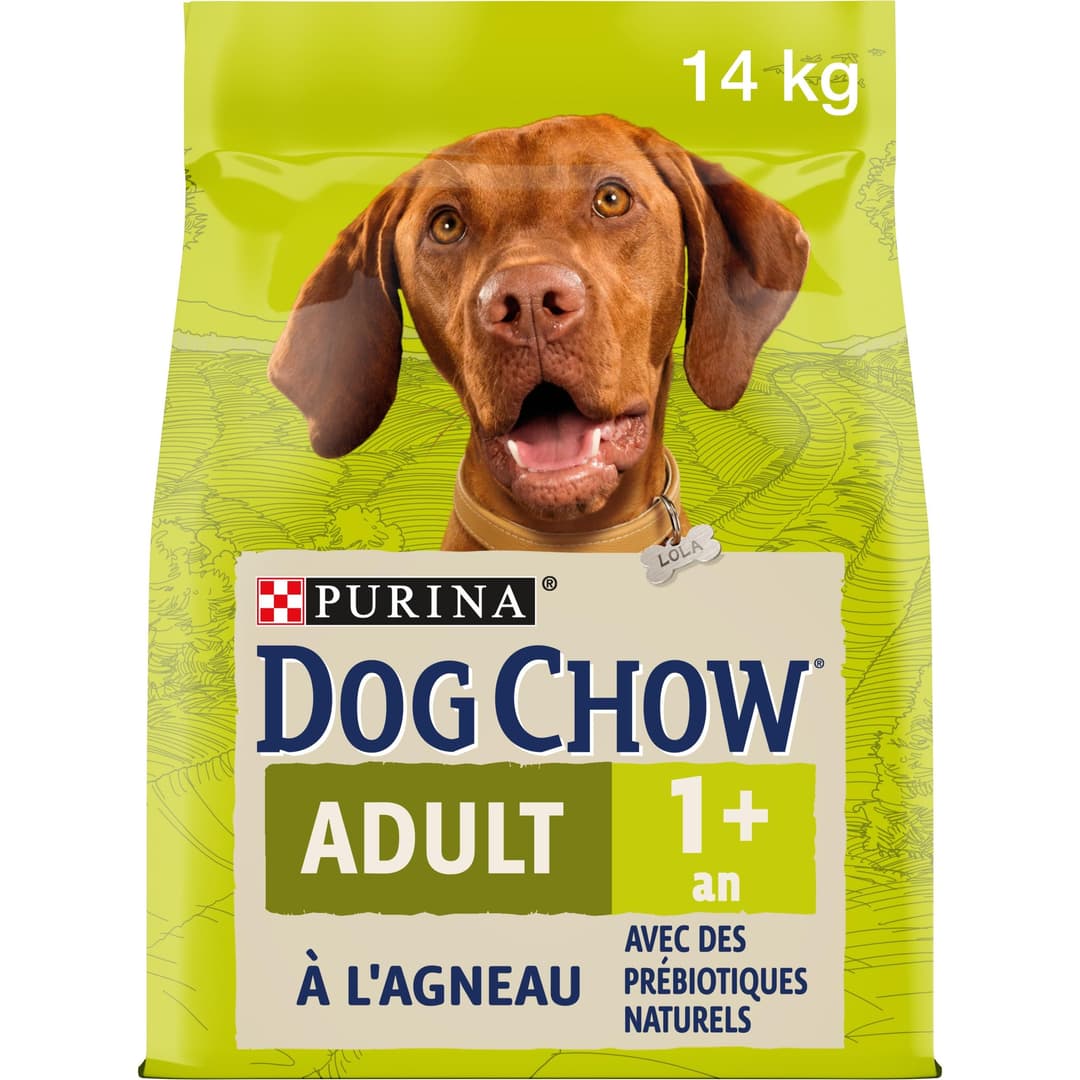 PURINA DOG CHOW | Adulte | Croquettes pour Chien de Grand…