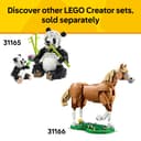 LEGO Creator 3in1 Wild Animals: Tropical Toucan with a Flower - Toy Animal Transforms into a Butterfly Figure or a Tropical Fish - Creative Gift for 7+ Year Old Girls & Boys - 31173 - 8