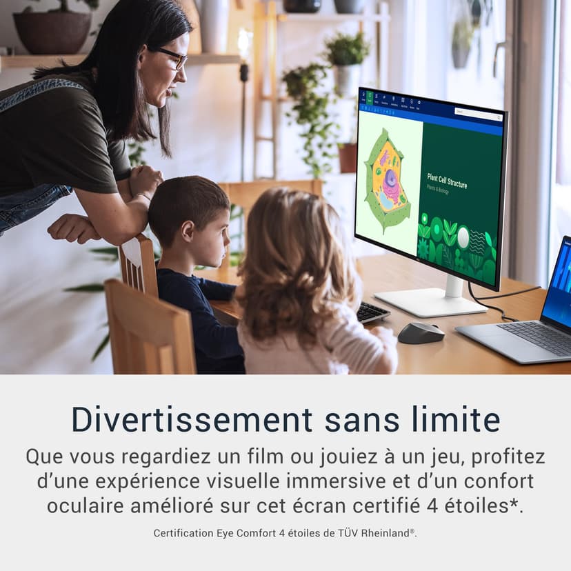 Dell 32 Plus Écran PC - S3225QS, 4K UHD (3840x2160), 120Hz, VA, 4ms, AMD FreeSync Premium, 95% DCI-P3, HDR10, Réglage en Hauteur, Haut-parleurs intégrés, DisplayPort, 2 HDMI, Garantie 3 Ans - 2