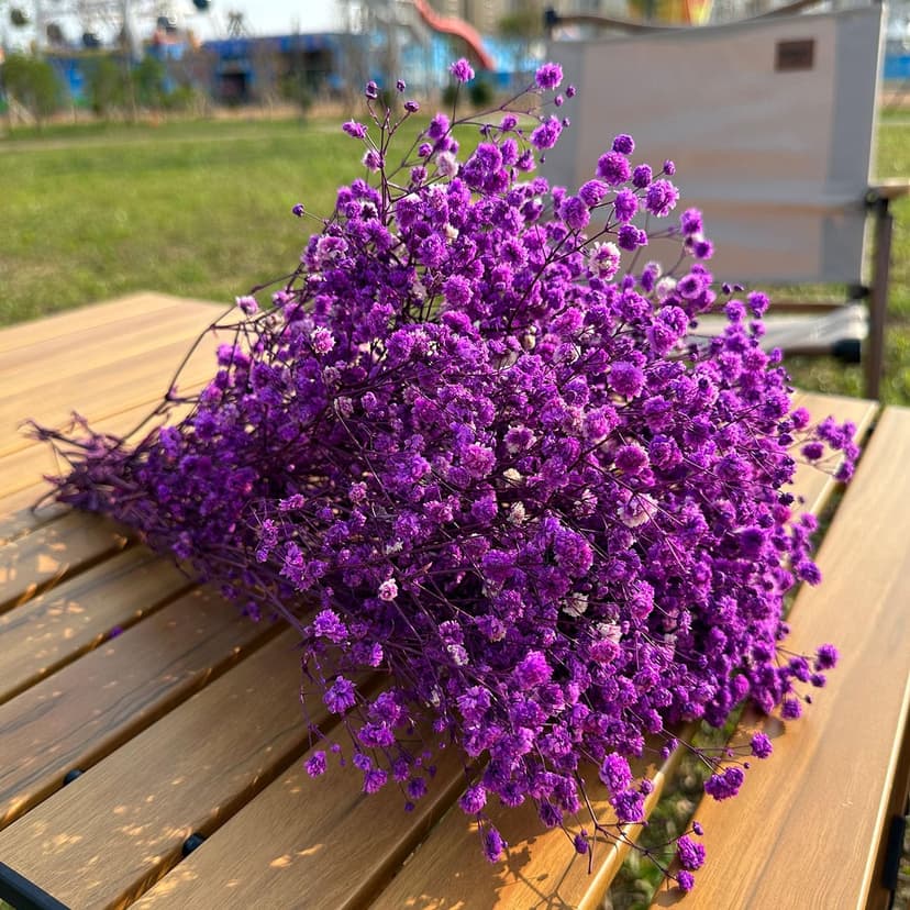 Gipizi Dried Baby's Breath Flowers Purple, 17inch Dried Natural Flowers Babys Breath Bulk with 3000 Buds, Real Dry Gypsophila for Wedding, Party, Wreath Floral DIY, Home Decor - 6