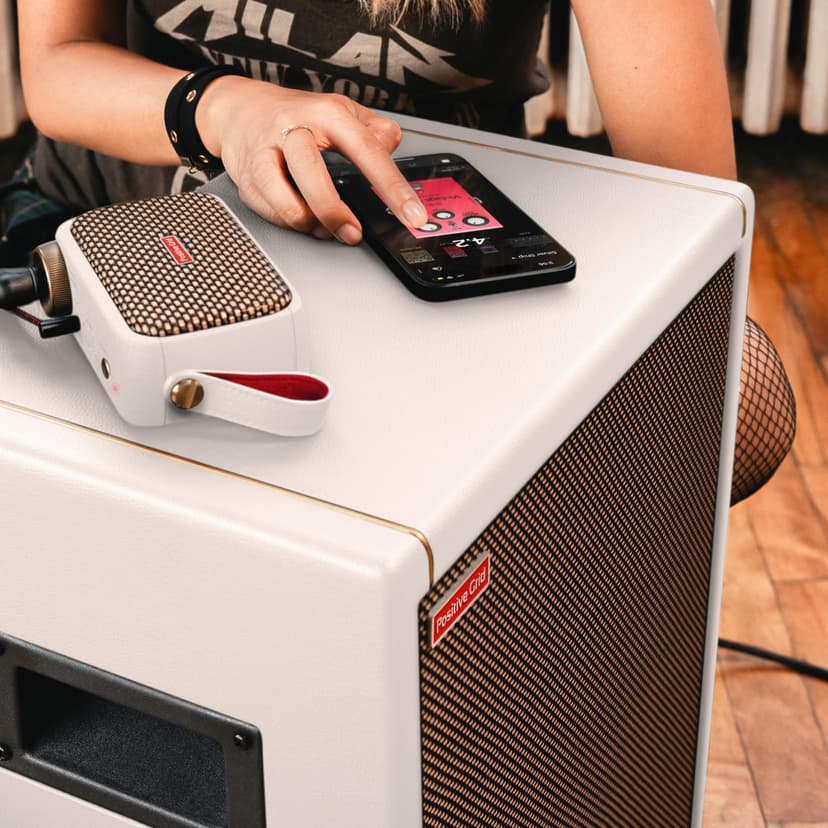 Positive Grid Spark CAB Powered Guitar Amp Speaker Cabinet for Spark Series Amps, Multiple Instruments, Modelers, and More – Pearl - 6