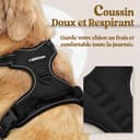 rabbitgoo Dog Harness Large Dog No Pull Pet Harness with 2 Leash Clips, Adjustable Soft Padded Pet Vest, Reflective No-Choke with Easy Control Handle for Training or Walking, Black, L - 3