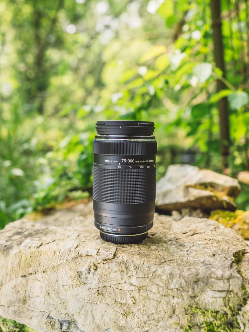 OM SYSTEM M.Zuiko Digital ED 75-300mm f/4.8-6.7 II Lens for Micro Four Thirds - 2