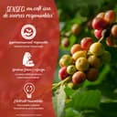 Produto B088XWMDRG - 3