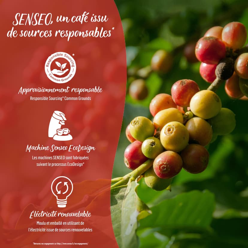 Produto B088XWMDRG - 3