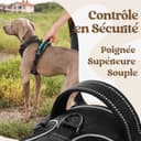 rabbitgoo Dog Harness Large Dog with Neck Release Buckle, No Pull Harness with Front Back Clips, Adjustable Soft Padded with Easy Control Handle, Reflective No-choke Pet Walking Vest, Black, L - 5