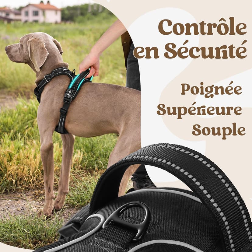 rabbitgoo Dog Harness Large Dog with Neck Release Buckle, No Pull Harness with Front Back Clips, Adjustable Soft Padded with Easy Control Handle, Reflective No-choke Pet Walking Vest, Black, L - 5