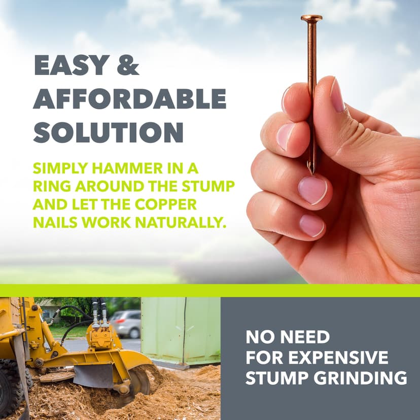 Copper Tree Stump Killer/Solid Copper Clout Nails - Very Large Sizes Available (40 x 65mm) - 5
