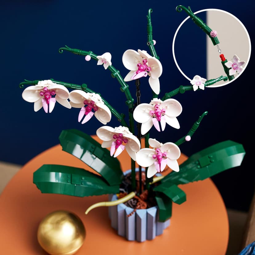LEGO Icons Botanicals Bundle: Includes Wildflower Bouquet (10313) and Orchid (10311), Botanical Collection Sets with Artificial Flowers and Plants, Crafts for Adults, Home Decor Gift for Her or Him - 7