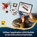 LEGO Harry Potter Fawkes: Dumbledore’s Phoenix Toy – Play & Display Bird Figure – Incl. Sorting Hat & Sword of Gryffindor – Birthday Gift for 8+ Year Old Girls & Boys - 76448 - 6