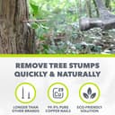 Copper Tree Stump Killer/Solid Copper Clout Nails - Very Large Sizes Available (40 x 65mm) - 2