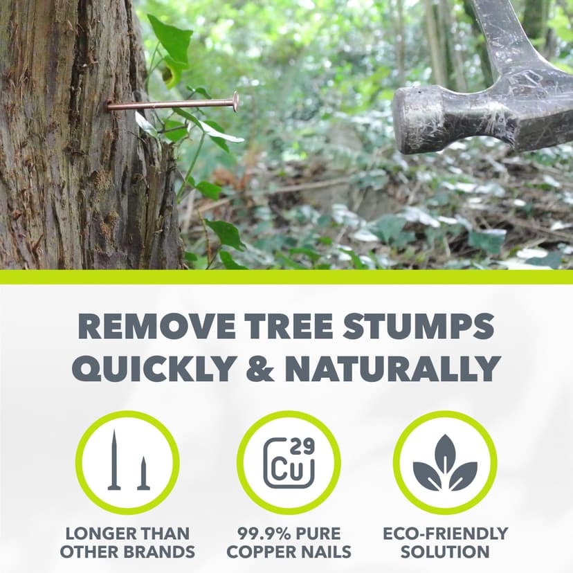 Copper Tree Stump Killer/Solid Copper Clout Nails - Very Large Sizes Available (40 x 65mm) - 2