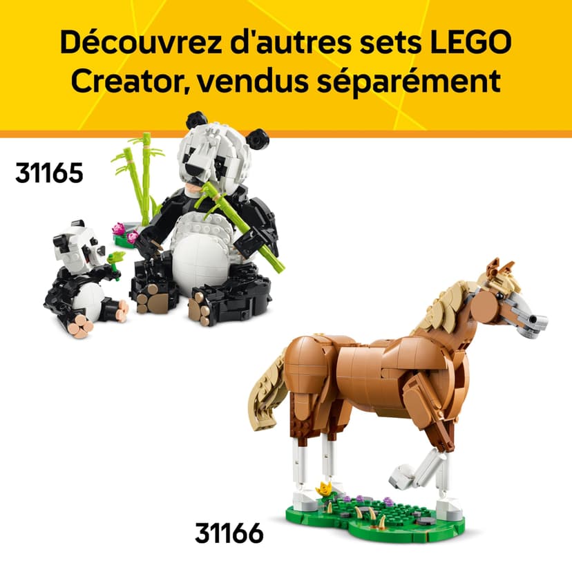 LEGO Creator 3-en-1 Animaux Sauvages : Le Toucan Tropical - Oiseau avec Fleur - Jouet Animal Transformable en Figurine de Papillon ou de Poisson Tropical - Cadeau Original Fille ou Garçon 7 Ans 31173 - 8