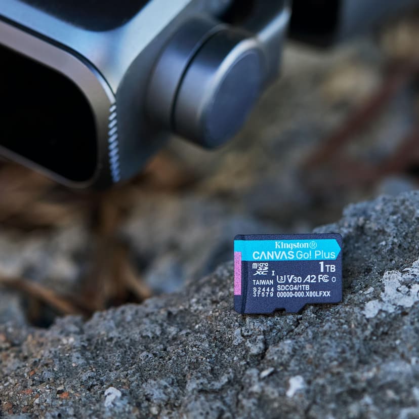 Kingston Canvas Go Plus microSDXC Memory Card Gen4 200MB/s A2 U3 V30 256GB Card + Adapter-SDCG4/256GB - 4