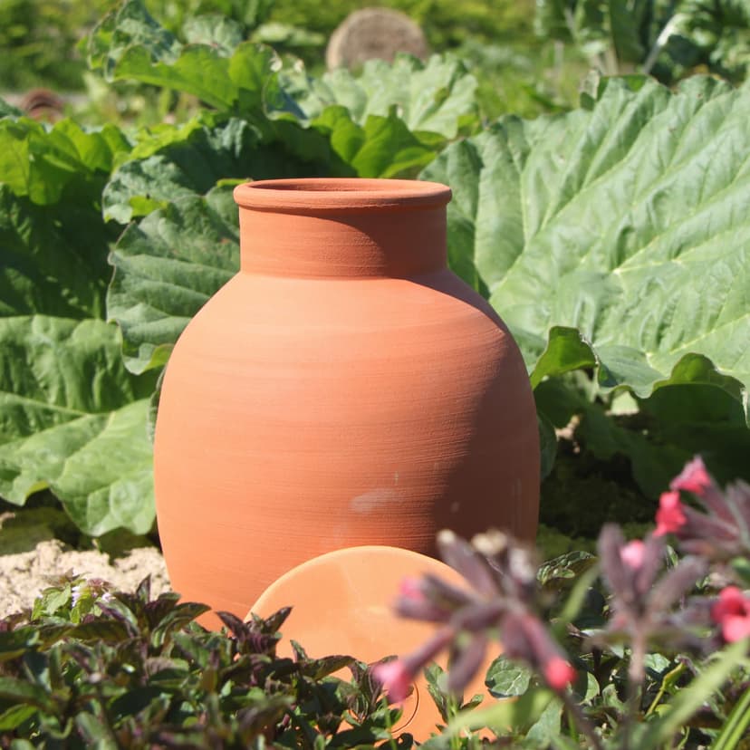 Olla Clay Vessel, Plant Watering Device, Terracotta Vacation Plant Waterer, Self Watering Device for Outdoor Plants 5L - 4