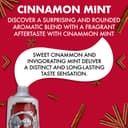 Marvis Cinnamon Mint Toothpaste, 85 ml, Sensational Flavoured Toothpaste Helps Remove Plaque & Promote Healthy Gums with Long-Lasting Freshness - 2