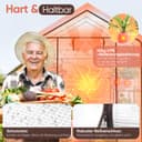 Sekey Walk In Greenhouse with Shelves - Stable Frame & Easy Assembly, Outdoor Green house with Waterproof PE Cover Plastic Greenhouse, All-Weather Protection, White (White(L)) - 4
