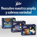 Felix Every Day Party Mix in Jelly Cat Food, Wet Food Meal Bags with Beef, Chicken, Salmon & Tuna, 44 x 85 g (44 meal bags; 3.7 kg) - 8