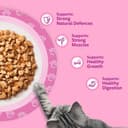 whiskas Junior Poultry Selection in Jelly 84 Pouches, Wet Kitten and Cat Food, Selection of Chicken, Duck, Poultry and Turkey, Megapack (84 x 85 g) - 7