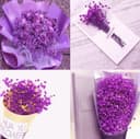 Gipizi Dried Baby's Breath Flowers Purple, 17inch Dried Natural Flowers Babys Breath Bulk with 3000 Buds, Real Dry Gypsophila for Wedding, Party, Wreath Floral DIY, Home Decor - 4