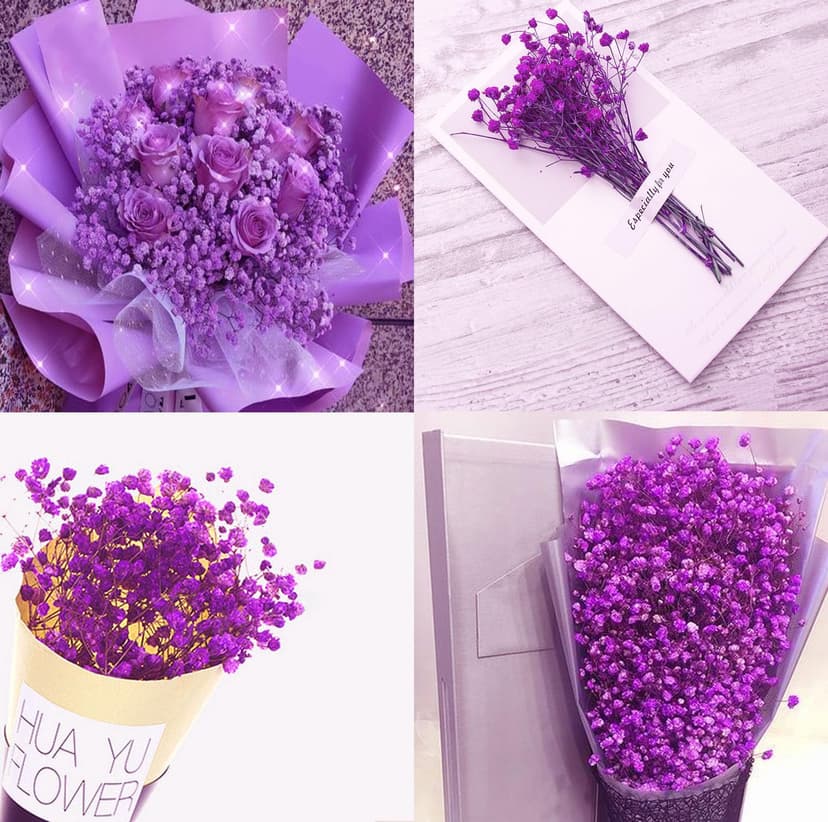 Gipizi Dried Baby's Breath Flowers Purple, 17inch Dried Natural Flowers Babys Breath Bulk with 3000 Buds, Real Dry Gypsophila for Wedding, Party, Wreath Floral DIY, Home Decor - 4