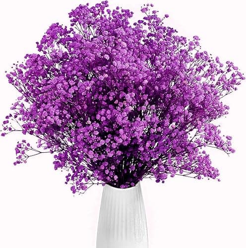 Gipizi Dried Baby's Breath Flowers Purple, 17inch Dried Natural Flowers Babys Breath Bulk with 3000 Buds, Real Dry Gypsophila for Wedding, Party, Wreath Floral DIY, Home Decor