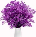 Gipizi Dried Baby's Breath Flowers Purple, 17inch Dried Natural Flowers Babys Breath Bulk with 3000 Buds, Real Dry Gypsophila for Wedding, Party, Wreath Floral DIY, Home Decor - 1