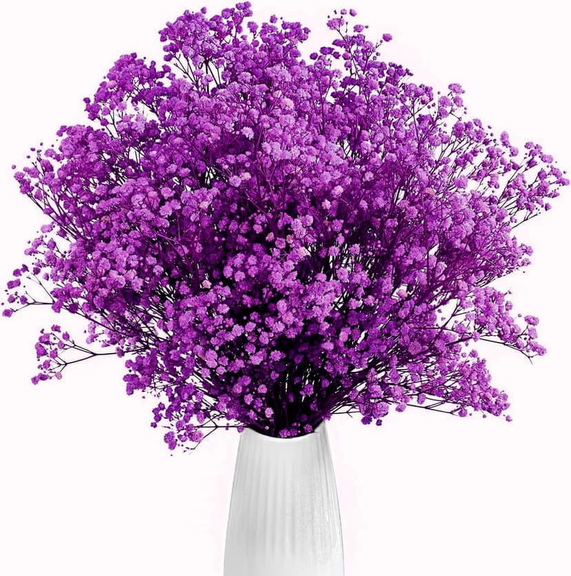 Gipizi Dried Baby's Breath Flowers Purple, 17inch Dried Natural Flowers Babys Breath Bulk with 3000 Buds, Real Dry Gypsophila for Wedding, Party, Wreath Floral DIY, Home Decor - 1