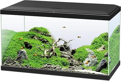 Ciano, Aquarium 60 Black, for Fish, Equipped with Filter, Consumables, LED and Heating, 58L, Reinforced Packaging for Web Sending