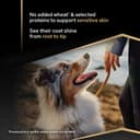 Purina PRO PLAN | Chien Adulte de Taille Moyenne | Peau Sensible | Aliment Sec pour Peaux Sensibles | Formulé Sans Blé | Favorise un Pelage Sain et Brillant | Riche en Saumon | Sac | 14 Kg - 4