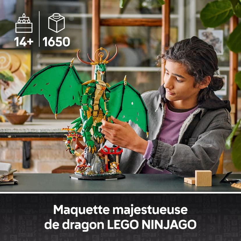 LEGO Ninjago Le Dragon Gardien - Maquette de Figurine de Dragon Articulée - Minifigurine de Maître WU & Présentoir Pittoresque Imitation Roche - Cadeau pour Garçon dès 14 Ans 71847 - 2