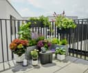 Gardena solar-powered AquaBloom irrigation set with water tank: Solar-powered irrigation set for up to 20 potted plants, control unit with 14 irrigation programmes (13301-20) - 4