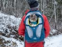 Kurgo G-Train Pack, Carrier Backpack for Small Dogs and Cats, Ideal for Hiking or Travel, Waterproof Bottom, Ink Blue - 8