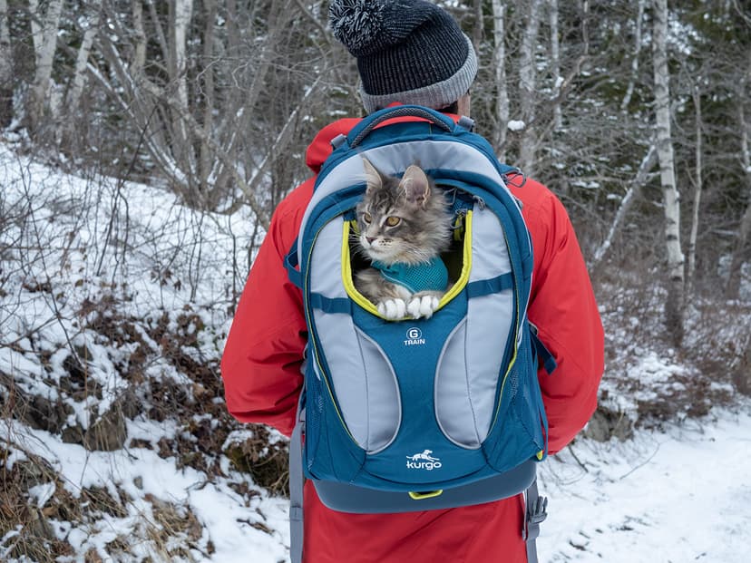 Kurgo G-Train Pack, Carrier Backpack for Small Dogs and Cats, Ideal for Hiking or Travel, Waterproof Bottom, Ink Blue - 8