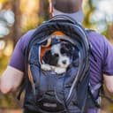 Kurgo G-Train Dog Carrier Backpack - Comfortable Travel Bag for Pets Up to 11 kg - Waterproof Bottom - Multi-Compartment Pack - Dog Hiking Gear - Rugged Adventure Backpack - Navy Blue - 7