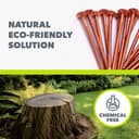 Copper Tree Stump Killer/Solid Copper Clout Nails - Very Large Sizes Available (40 x 65mm) - 6