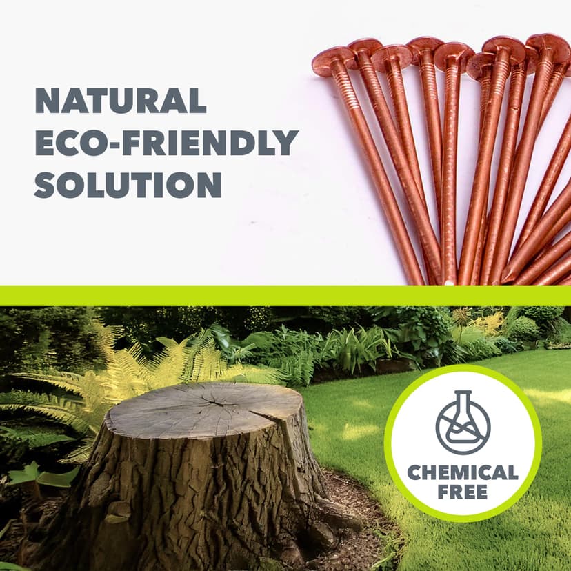 Copper Tree Stump Killer/Solid Copper Clout Nails - Very Large Sizes Available (40 x 65mm) - 6