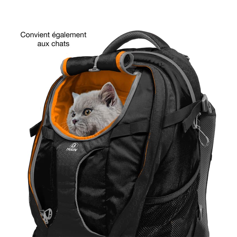 Kurgo G-Train Sac à Dos de Transport pour Petits Chiens et Chats, Sac de Voyage et Randonnée avec Fond étanche, Encre Bleue - 6
