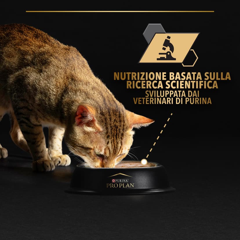 Nestle ProPlan Adult 7 + Tuna Foam / Meal Box for Senior Cats 85 g - Pack of 24 - 7