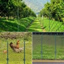 sptchapn 91cm / 3ft Strong and Durable Metal Fence Post, Pack of 5 for Garden Patio and Outdoor Wires U-Fence Post Green T-Posts (5) - 6