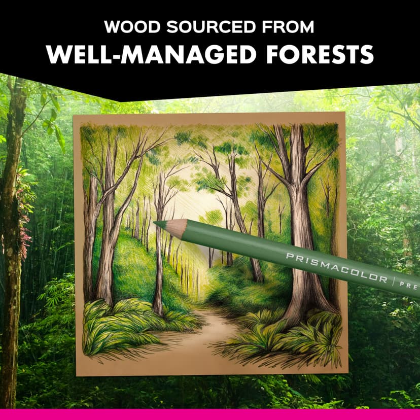 Sanford Prismacolor Premier Colored Pencils 150 kg, 150 Count (Pack of 1) - 9