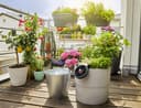 Ensemble d’arrosage solaire Gardena AquaBloom : Système d’arrosage fonctionnant à l’énergie solaire pour plantes de balcon et en pot, jusqu’à 4 m de hauteur, quelle que soit la saison (13300-20) - 7