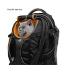 Kurgo G-Train Pack, Carrier Backpack for Small Dogs and Cats, Ideal for Hiking or Travel, Waterproof Bottom, Ink Blue - 6