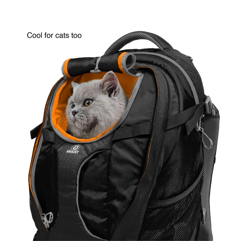 Kurgo G-Train Pack, Carrier Backpack for Small Dogs and Cats, Ideal for Hiking or Travel, Waterproof Bottom, Ink Blue - 6