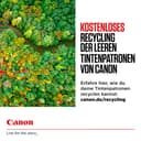 Canon PG-545 XL CL-546 XL VALUE Pack of 2 cartridges (Black XL Colour XL) + 50 sheets of 10x15cm Photo Paper Genuine (Recycled Cardboard Multipack) - 4