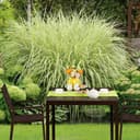 Relaxdays Table Jardin carrée à Manger, Effet Optique Bois, Jardin, Balcon, terrasse HlP 74,5x77,5x78cm, Table de Balcon - 5