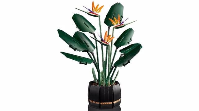 LEGO Icons 10289 L'Oiseau de Paradis, Fleurs Décoratives, Maquette Botanical Collection, Construction Plantes, pour Adultes - 4