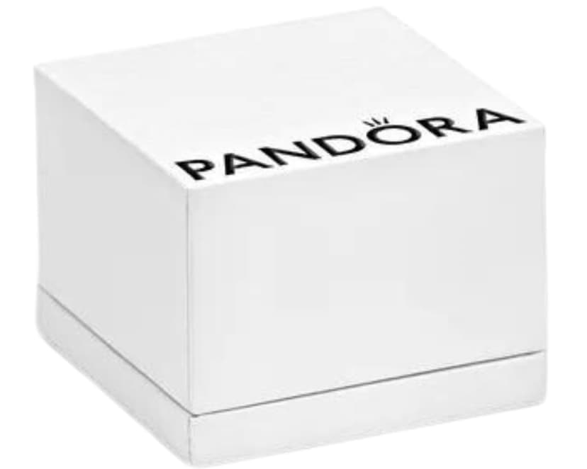 PANDORA Coffret cadeau bijoux femme Podium - 2