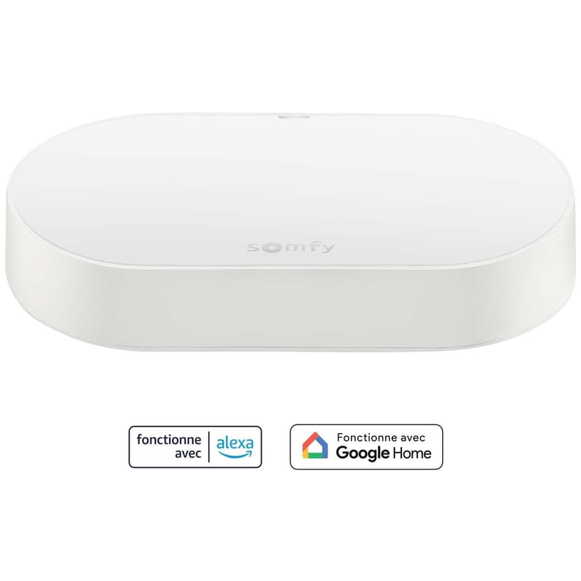 Somfy 1870755 Connectivity Kit, Control of Somfy Motors and Lighting, Compatible with io & RTS Motors, Voice Control via Google Assistant, Amazon Alexa, HomeKit - 2
