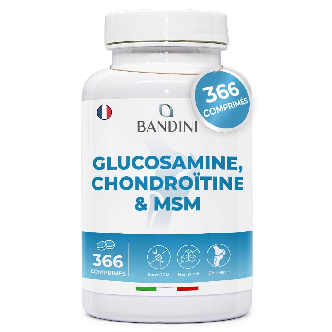 Bandini® Glucosamine Chondroitin + MSM & Vitamin C | 366 Tablets for 6 Months | Complex Formula with 600mg Glucosamine, 100mg Chondroitin & MSM per Daily dose | High Dosage